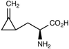 S-Hypoglycine A, 85% - 11079 - Medical Isotopes, Inc.