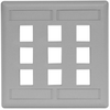Datacommunication Face Plate - IFP29GY - Hubbell Incorporated