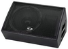 CORUS PRO Loudspeaker - AM 12 - Visual Sound, Inc.