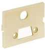 Datacommunication Face Plate with Jack -- IM15315EI - Image