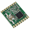 RF and Wireless - RF Receivers - RFM65W-868S2 - Acme Chip Technology Co., Limited