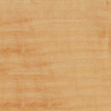 Vinyl Flooring Product, Amtico Maple - AR0W6840 - Amtico International, Inc.