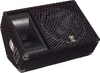 15 Inch 2-way Floor Monitor - SM15V - Visual Sound, Inc.