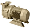 Single Stage Motor Mounted Liquid Ring Vacuum Pumps - DV0060B-M - DEKKER Vacuum Technologies