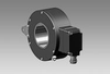 Incremental Encoder - HOG 161 - Baumer Ltd.