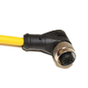 Circular Cable Assemblies - 314-C5D06M004-ND - DigiKey