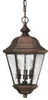 2262AP-ESDS Exterior -Hanging - 345169 - Capital Lighting, Inc.