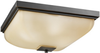 7011OZ Exterior -Ceiling Mount - 433264 - Capital Lighting, Inc.