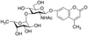 4-Methylumbelliferyl 2-Acetamido-2-deoxy-3-O-(α-L-fuc.. - 28835 - Medical Isotopes, Inc.