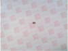 Resistor - 134520419 - Radwell International