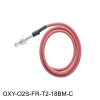 Zirconia Oxygen Sensor System - Image