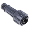 Industrial Circular Connectors - 7080864 - RS Components, Ltd.
