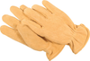C100 Thinsulate Lined Deerskin Gloves -- 8179863 - Image