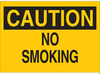 No Smoking Sign - 42638 - Brady Corporation