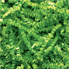 10 lb. Lime - Crinkle Paper - CP10N - TransPak