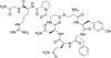 Arginine Vasopressin - A769550 - Toronto Research Chemicals, Inc.
