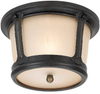 79340BLE-780 Exterior -Ceiling Mount - 361179 - Capital Lighting, Inc.