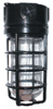 Vaporproof Incandescent Fixture with Globe and Guard - VX100DGB-3/4 - RAB Lighting