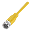 BALF Sensor Cordsets - BCC05F1 - Galco Industrial Electronics