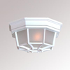Exterior -Ceiling Mount - 299846 - Light Center (The)