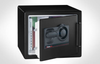 Combination FIRE-SAFE&reg; - DS0100 - Sentry Group