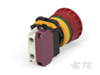 Push Button Switches -- 2416049-1 - Image