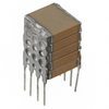 Ceramic Capacitors - SMX45C505KAN360 - ODG (Origin Data Global)