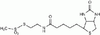 N-Biotinylaminoethyl Methanethiosulfonate - 1289 - Medical Isotopes, Inc.