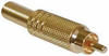 RCA Plug, Gold Plated With Spring Strain Relief - CA-C4463 - Visual Sound, Inc.