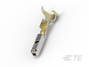 Automotive Terminals - 1703032-5 - TE Connectivity