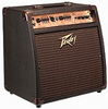 Ecoustic Series Amplifier - Ecoustic 110 EFX - Visual Sound, Inc.