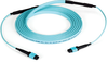30m MTP OM3 Fiber Optic Trunk Cable Plenum 12-Strand Type C - FOTC30M3-MP-12AQ-30 - Black Box