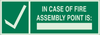 Brady Bradyglo B-347 Polyester / Polystyrene Rectangle Green In Case Of Fire Sign - 14 in Width x 5 in Height - TEXT: IN CASE OF FIRE ASSEMBLY POINT IS - 90930 - 754476-90930 - R. S. Hughes Company, Inc.
