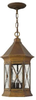 Exterior -Hanging - 314092 - Light Center (The)