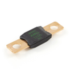 Eaton's Bussmann Series AMG-125 High Amp Fuse, 125A, 32VDC, Bolt-Down Design -- 46271