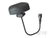 Antennas - GNS1559MPF-100SMAM - TE Connectivity
