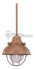Single-Light Mini-Pendant Fixture - 6150-44 - bulbs.com