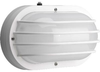 P7338-30EB Exterior -Wall Mt./Flush - 414920 - Capital Lighting, Inc.