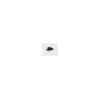 Power Supplies - Board Mount - AC DC Converters - 1349374-AMEOF3-12SJZ - Win Source Electronics