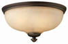 4171VZ Flush Mounts-Bowl Style - 732858 - Capital Lighting, Inc.