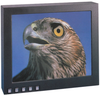 Hawk Eye 18