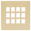 Datacommunication Face Plate - IFP212EI - Hubbell Incorporated