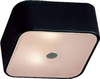 E20461-09BK/PC Flush Mounts-Other - 650477 - Capital Lighting, Inc.