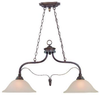 26422-LB Island/Pool Table-2 Light Bar - 692129 - Capital Lighting, Inc.