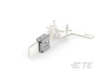 Automotive Terminals - 2-962919-2 - TE Connectivity