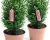 RFID Labels & Tags - Outdoor Inventory - MPI Label Systems