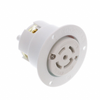 Plugs and Receptacles - WM22415-ND - DigiKey