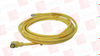 QD Cable/Cord Set - 15310951 - Radwell International