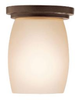 8043OZ Flush Mounts-Other - 721620 - Capital Lighting, Inc.