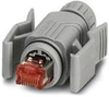 Modular Connectors / Ethernet Connectors - 1414405 - VAST STOCK CO., LIMITED